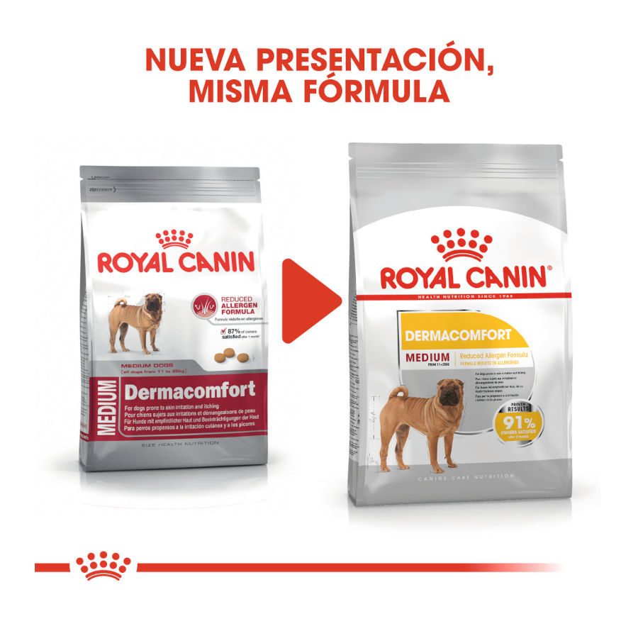12 kg Royal Canin Dermacomfort Medium pienso para perros, , large Imagen numero 3